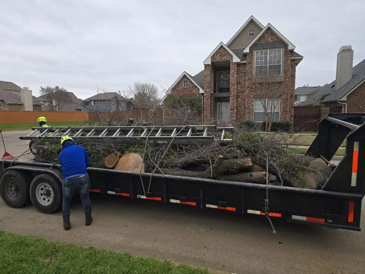 Expert Lot Clearing with proper safety equipment in Twining